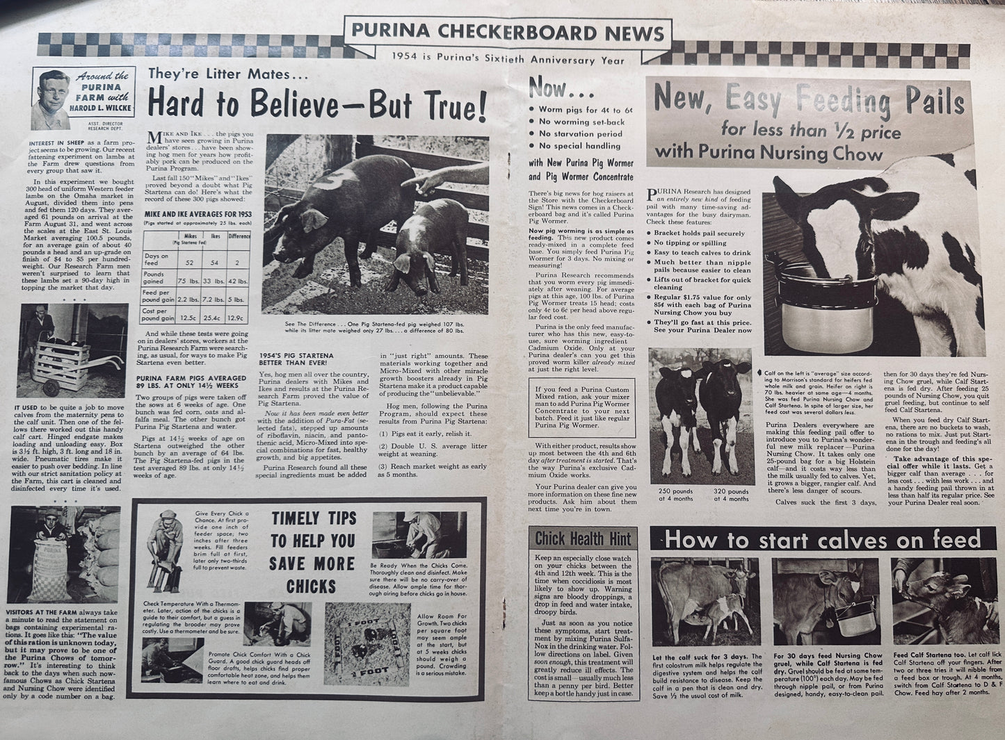 1954 Double Sided Centerfold _ Purina Checkerboard New #838