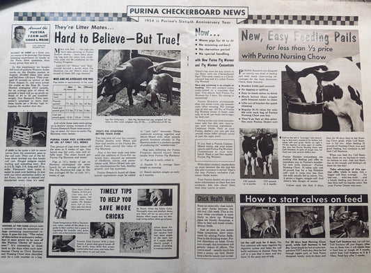1954 Double Sided Centerfold _ Purina Checkerboard New #838