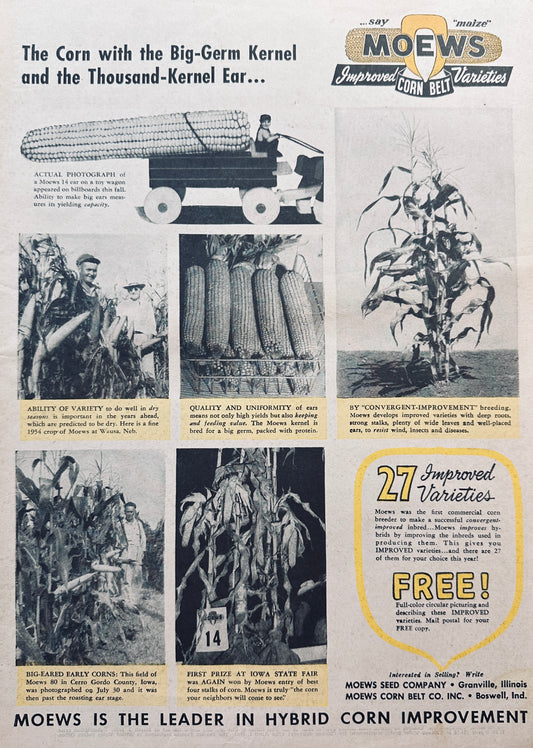 1954 MOEWS Hybrid Corn Seed #840 Boswell In Granville IL Ad