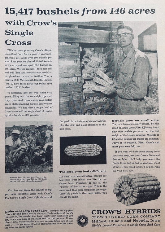 1959 Crow's Hybrids Bring in 15417 BU From 146 Acres #849 Harvey Doll McDonough Cty
