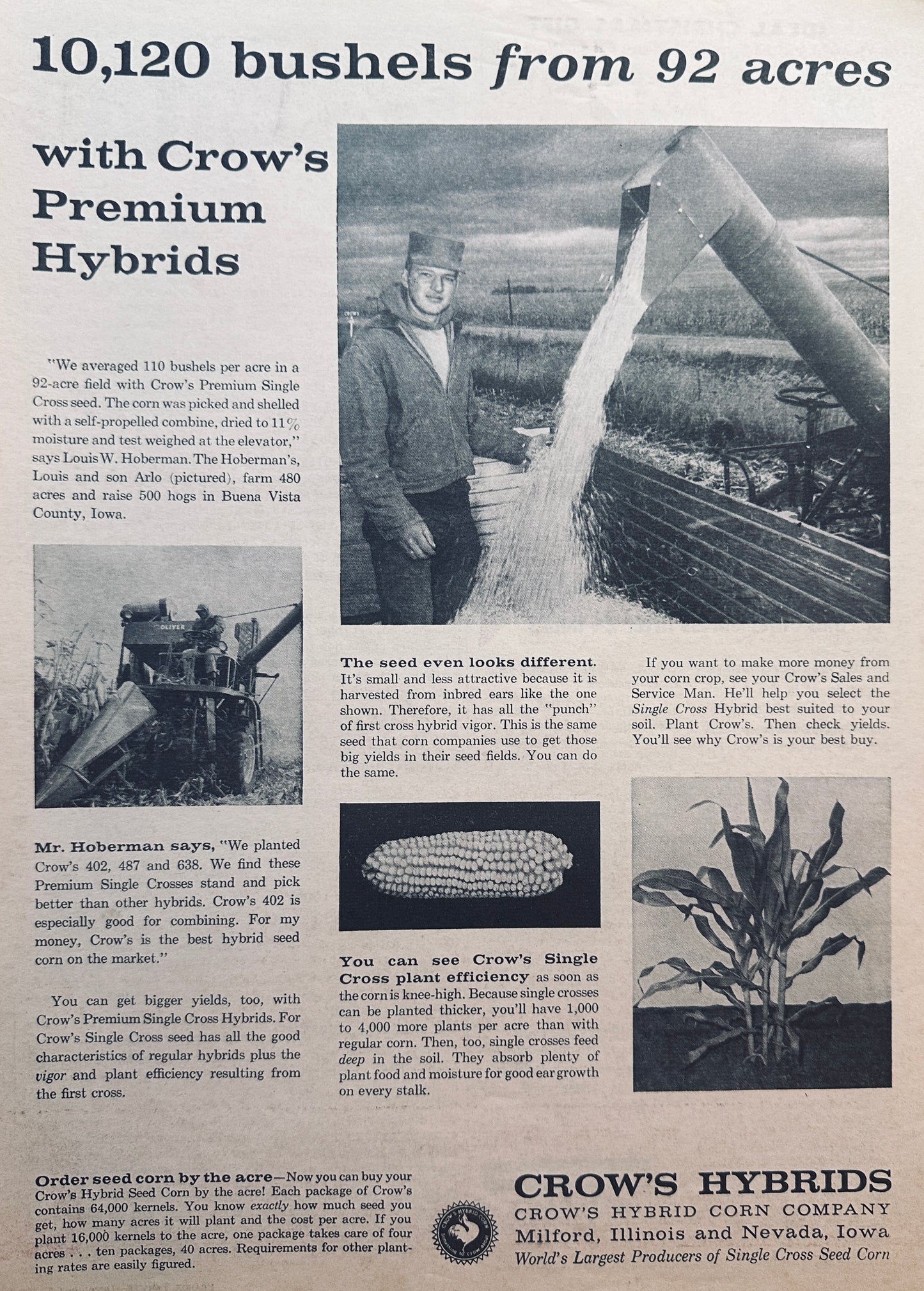1959 Crow's Single Cross Seed Corn #851 - 110 Bu/Acre Hoberman Farm IA Ad