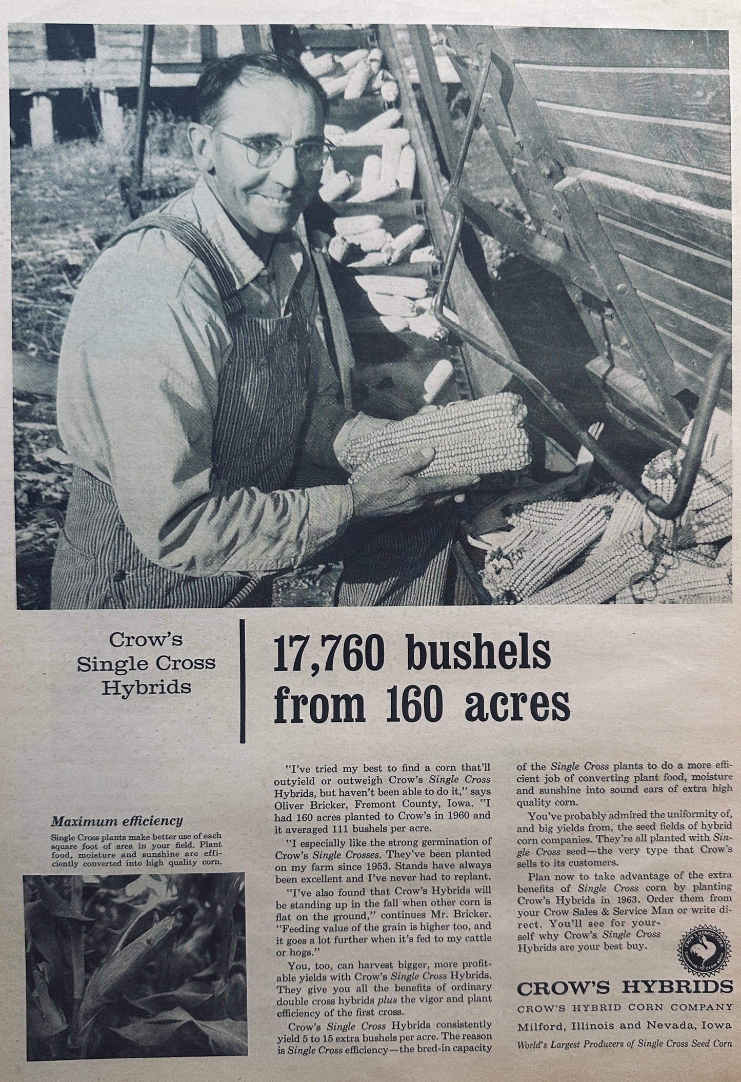 1954 Crow's Single Cross Corn Hybrid - #848 - Oliver Bricker Fremont Cty, IA