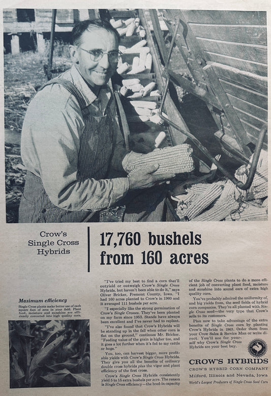 1954 Crow's Single Cross Corn Hybrid - #848 - Oliver Bricker Fremont Cty, IA