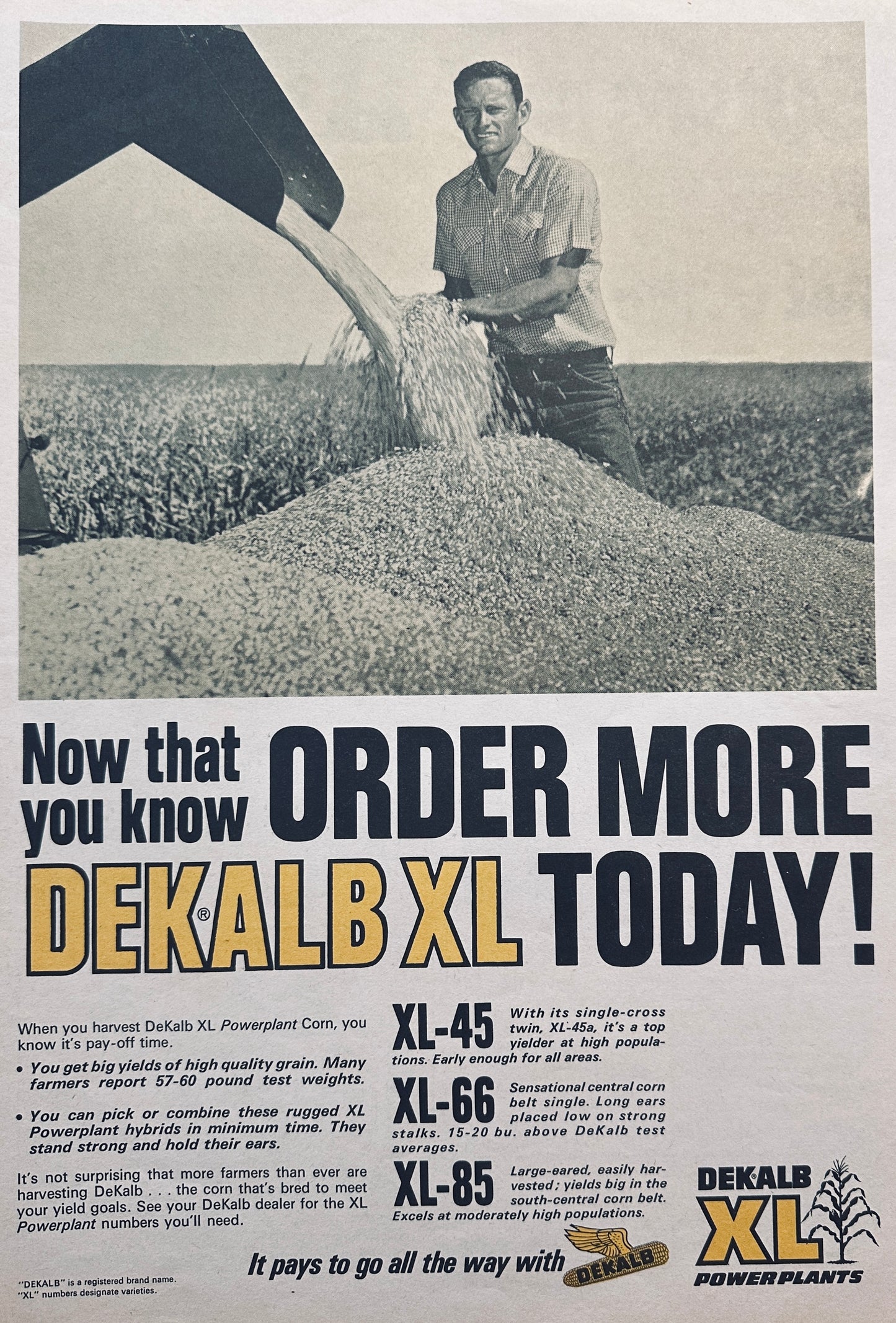 1968 Dekalb XL Hybrids 45, 66 & 85 Order More Today #856 Vintage Ad