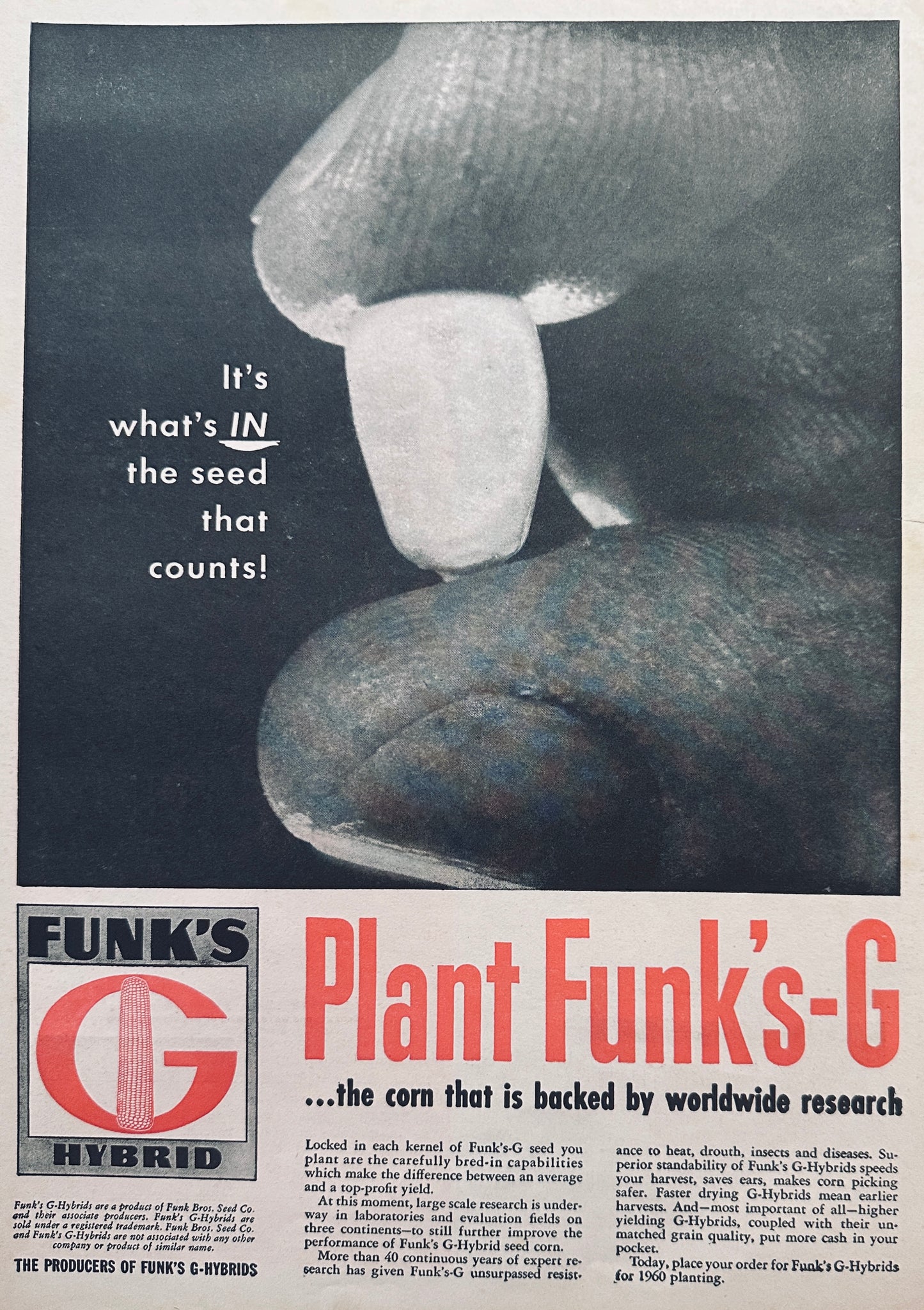 1959 Funk's G Hybrid Place Your Orders for 1960 Planting #859 Vintage Ad