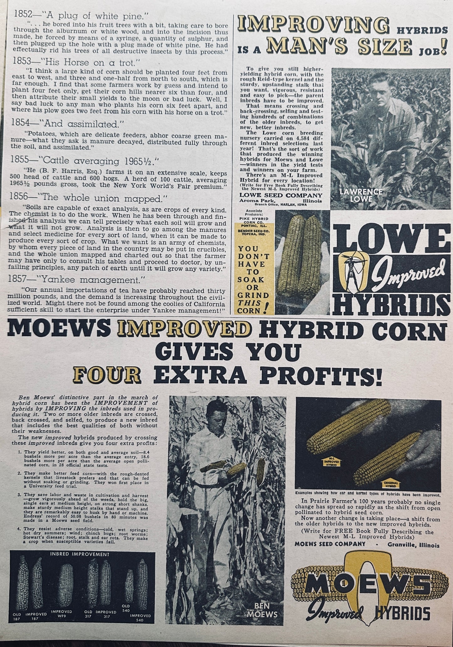 1941 (2) Seed Ads + (1) Feed Ad Double Sided Page Moews, Lowe & Murphy's #1053