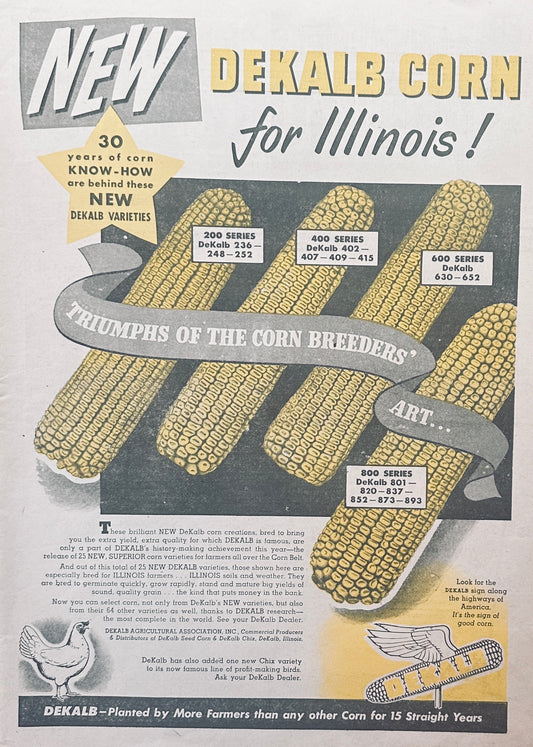 1950's New Dekalb Corn for Illinois Vintage Ad #1077