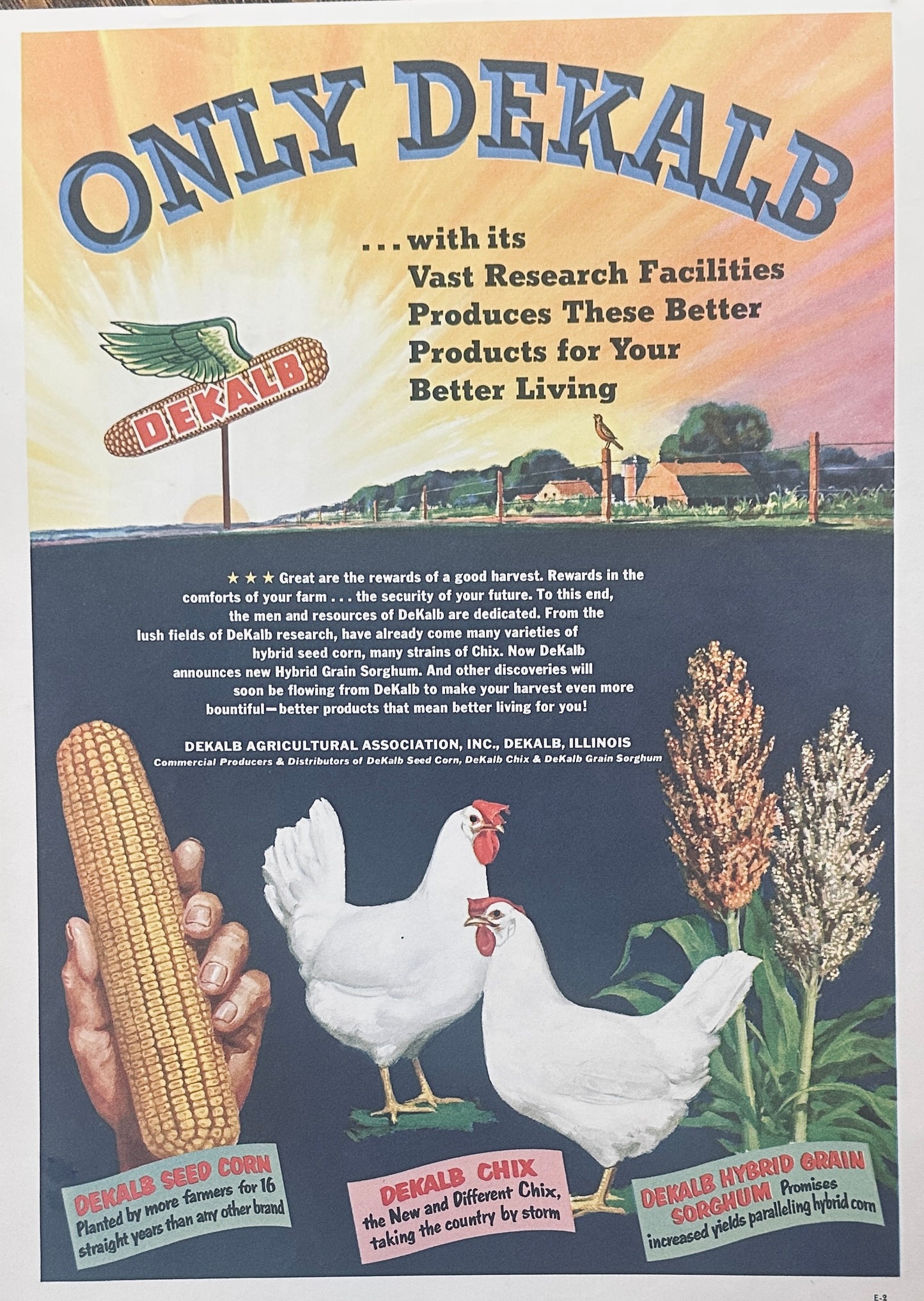 1956 Dekalb Double-Sided Centerfold Holy Grail Ad #1078