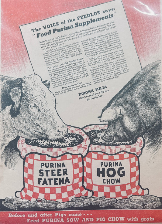 1941 WWII Era Purina Mills - Steer Fatena & Hog Chow Ad #1228