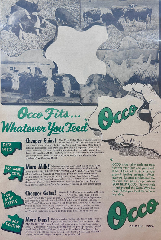 1954 Occo Livestock Feed for Whatever you Feed Ad #1234 Oelwein, Iowa