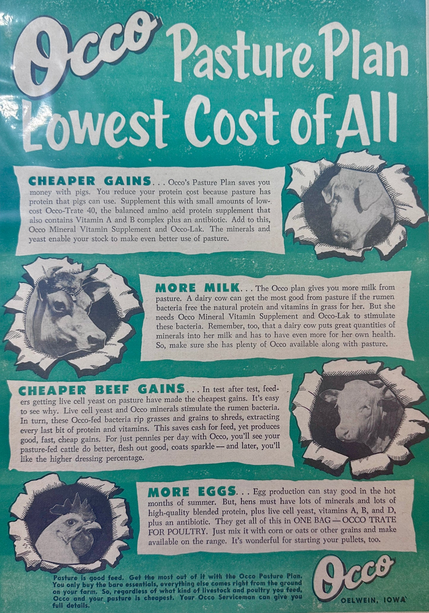 1954 Occo Pasture Plan Lowest Cost of All Feed Ad #1236