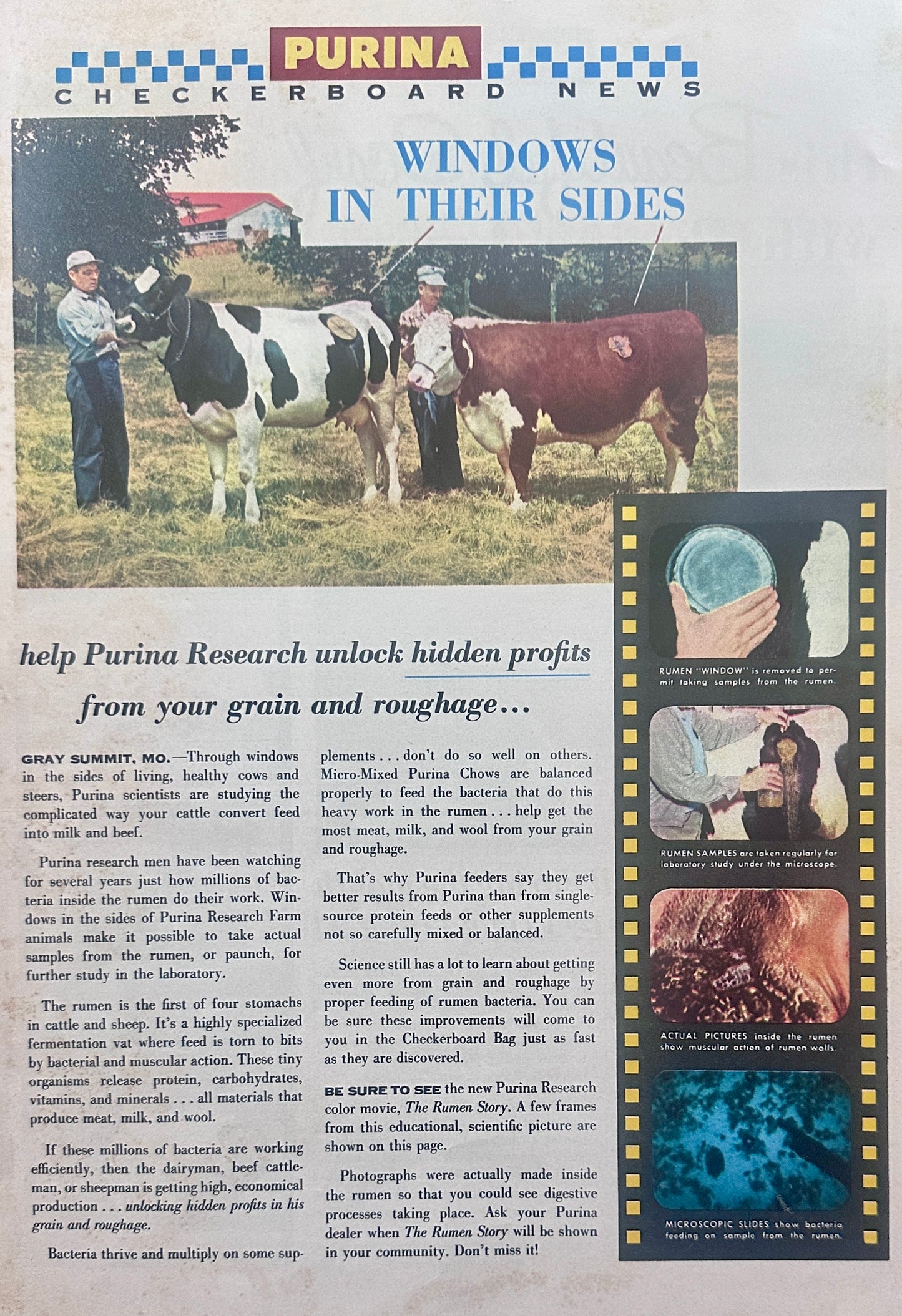 1957 Purina Checkerboard News Double-Sided Centerfold Magazine Ad #1265