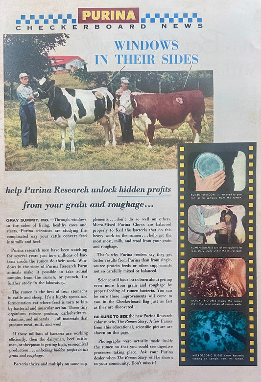 1957 Purina Checkerboard News Double-Sided Centerfold Magazine Ad #1265