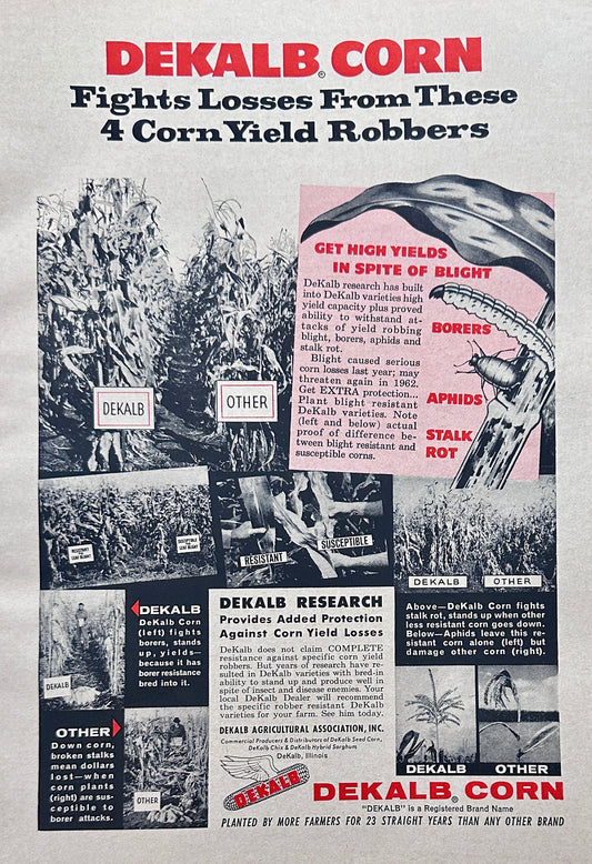 1962 Dekalb Corn Fights Losses From 4 Corn Yield Robbers Ad #1291
