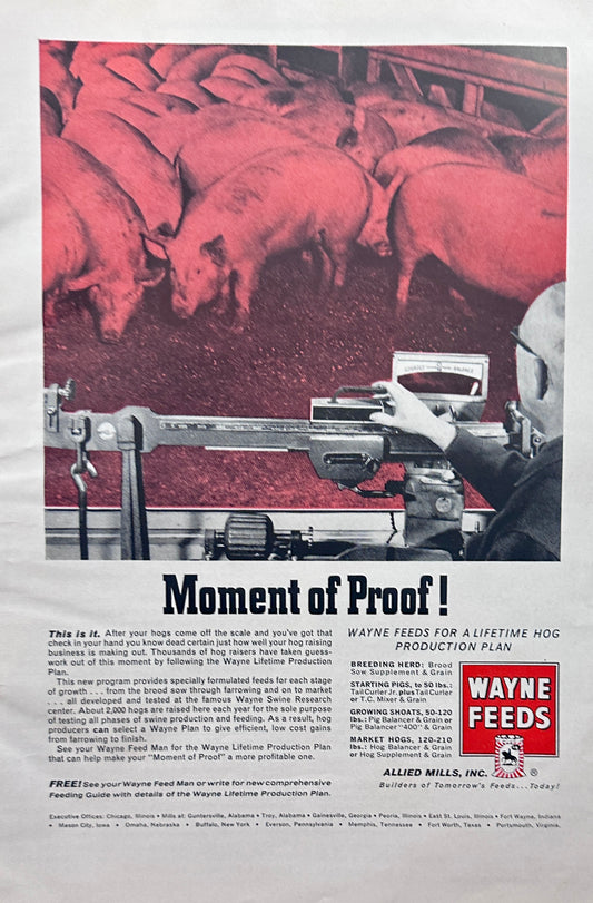 1962 Wayne Feeds - Moment of Proof Ad #1296