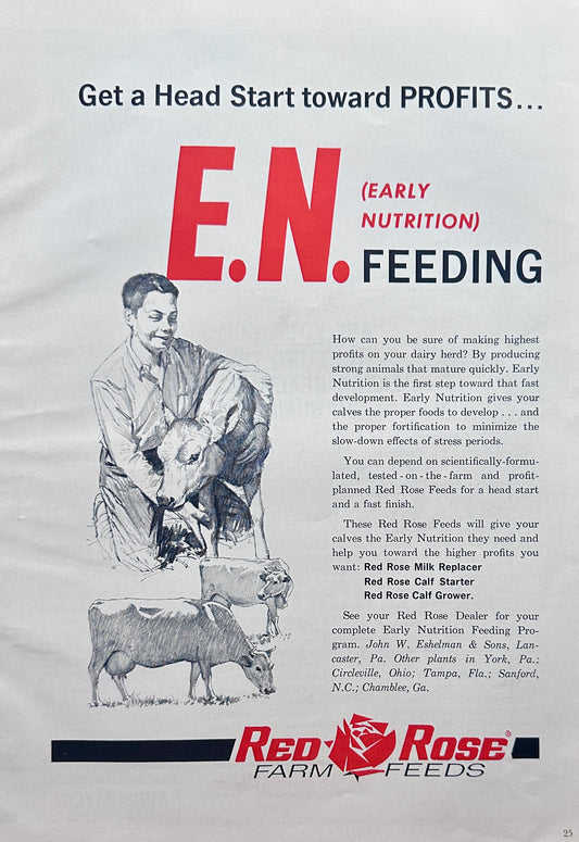 1962 Red Rose Farm Feed E.N. (Early Nutrition) Feeding Ad #1300
