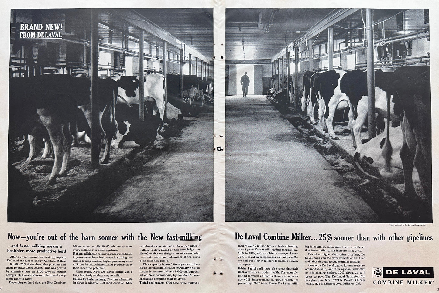 1962 Large Centerfold De Laval Milking System Vintage As #1442
