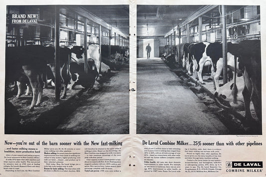 1962 Large Centerfold De Laval Milking System Vintage As #1442