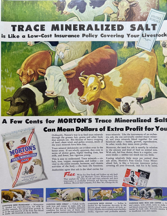 1949 Morton's Trace Mineralized Salt for Livestock Ad #1502